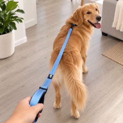 Corea premium PET DOGS R151