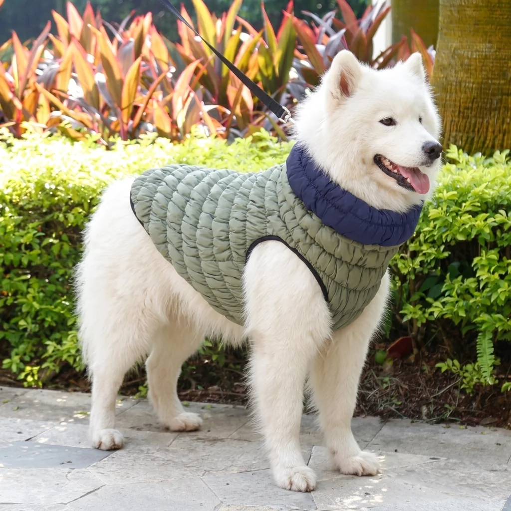 Ropa DOGLEMI S R155