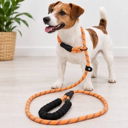 Correa con ahorque BRILLANT PAW R121