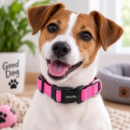 Collar BRILLANT PAW L R122